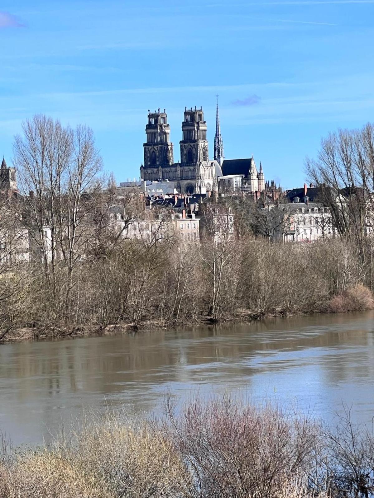 Appartement Au Duleing House Orleans Luaran gambar