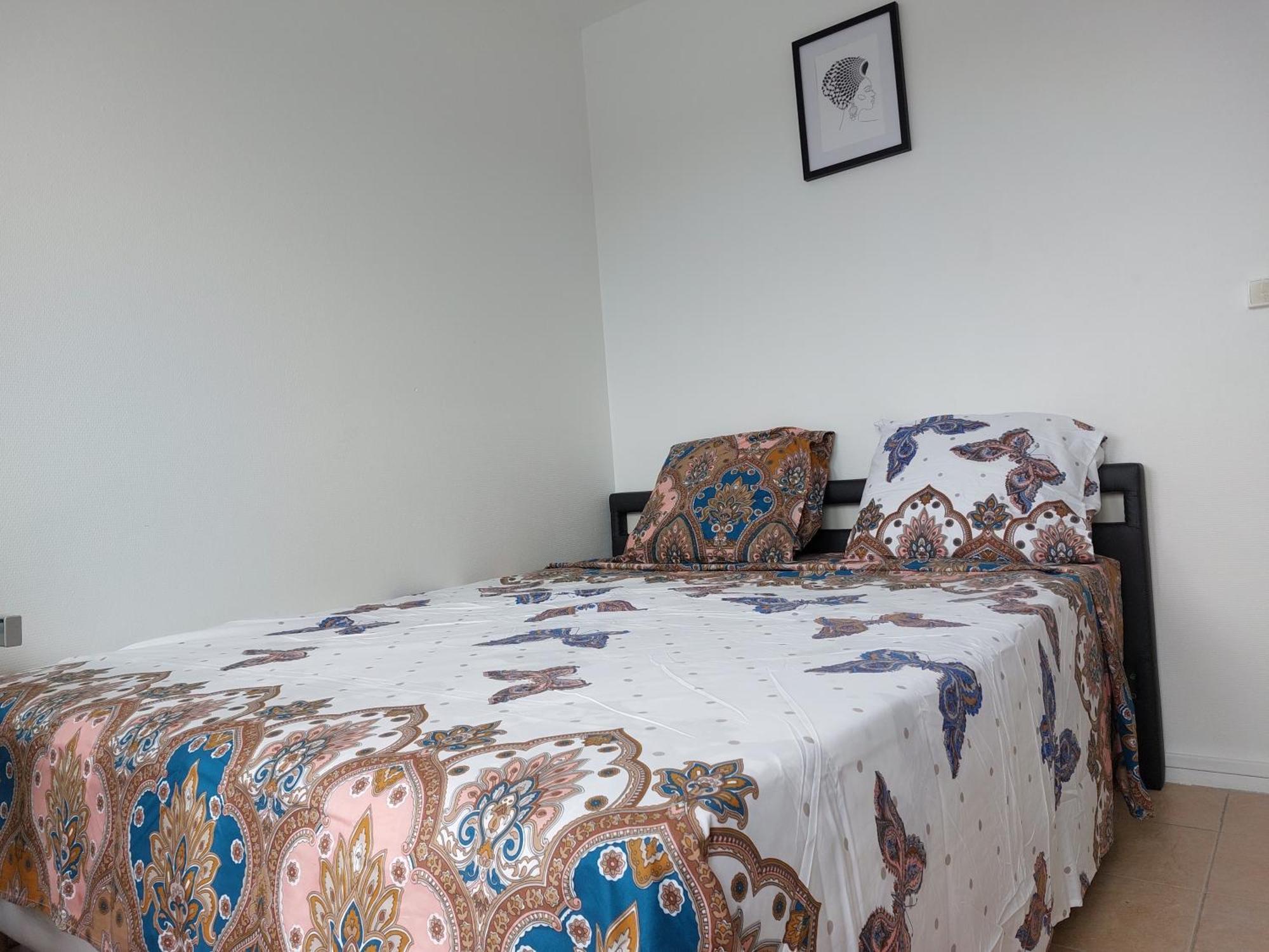 Appartement Au Duleing House Orleans Luaran gambar