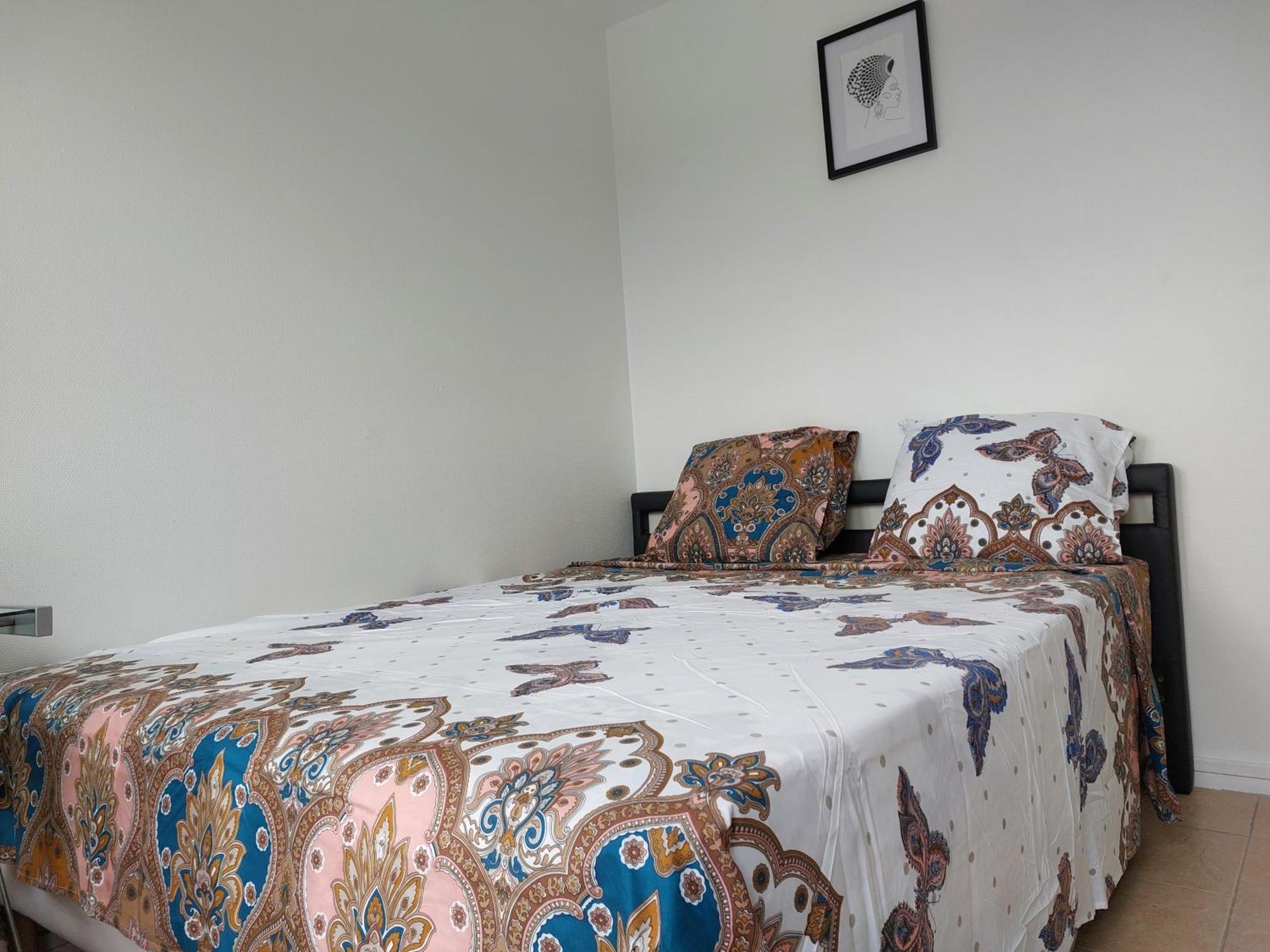 Appartement Au Duleing House Orleans Luaran gambar