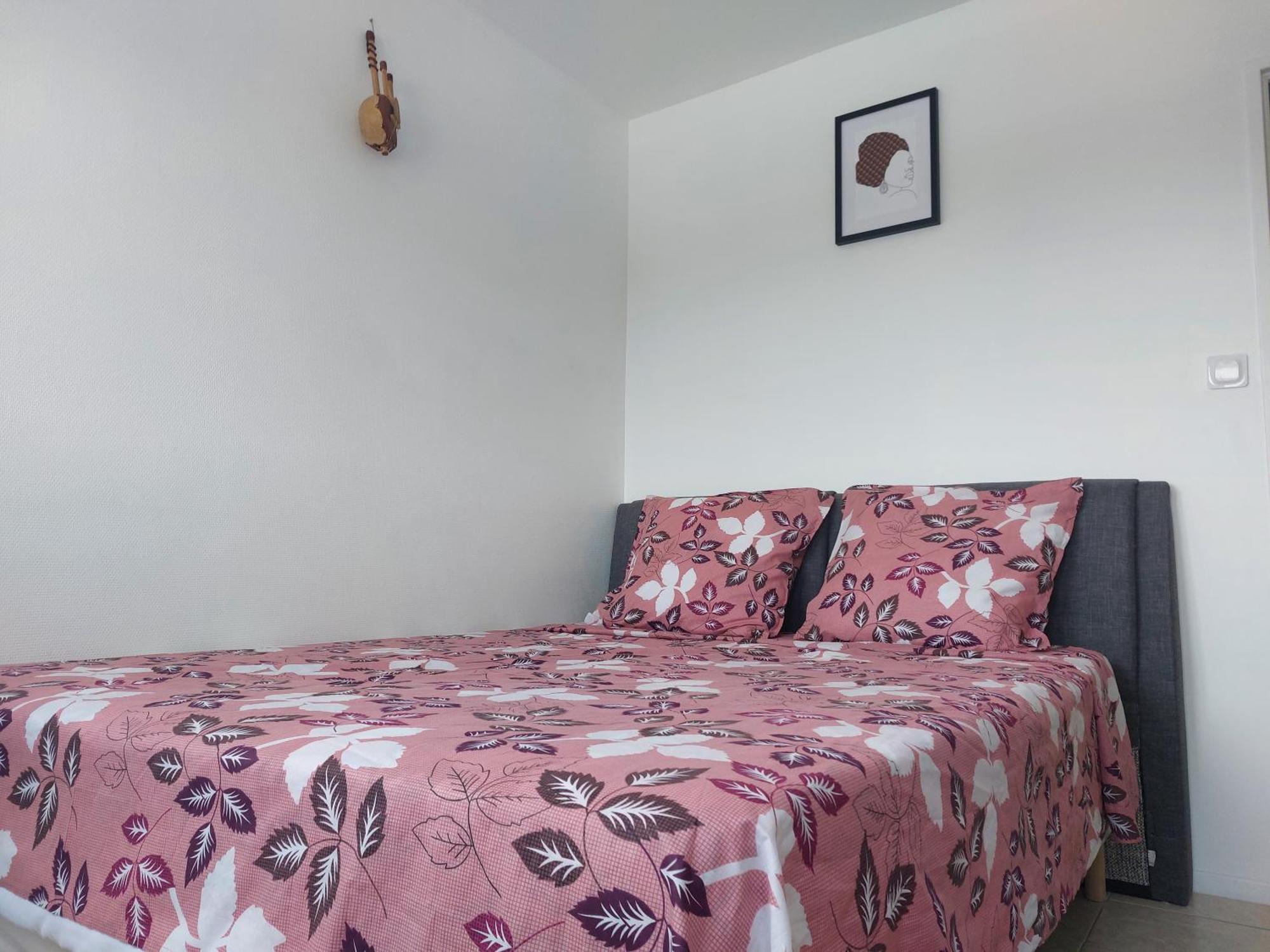 Appartement Au Duleing House Orleans Luaran gambar