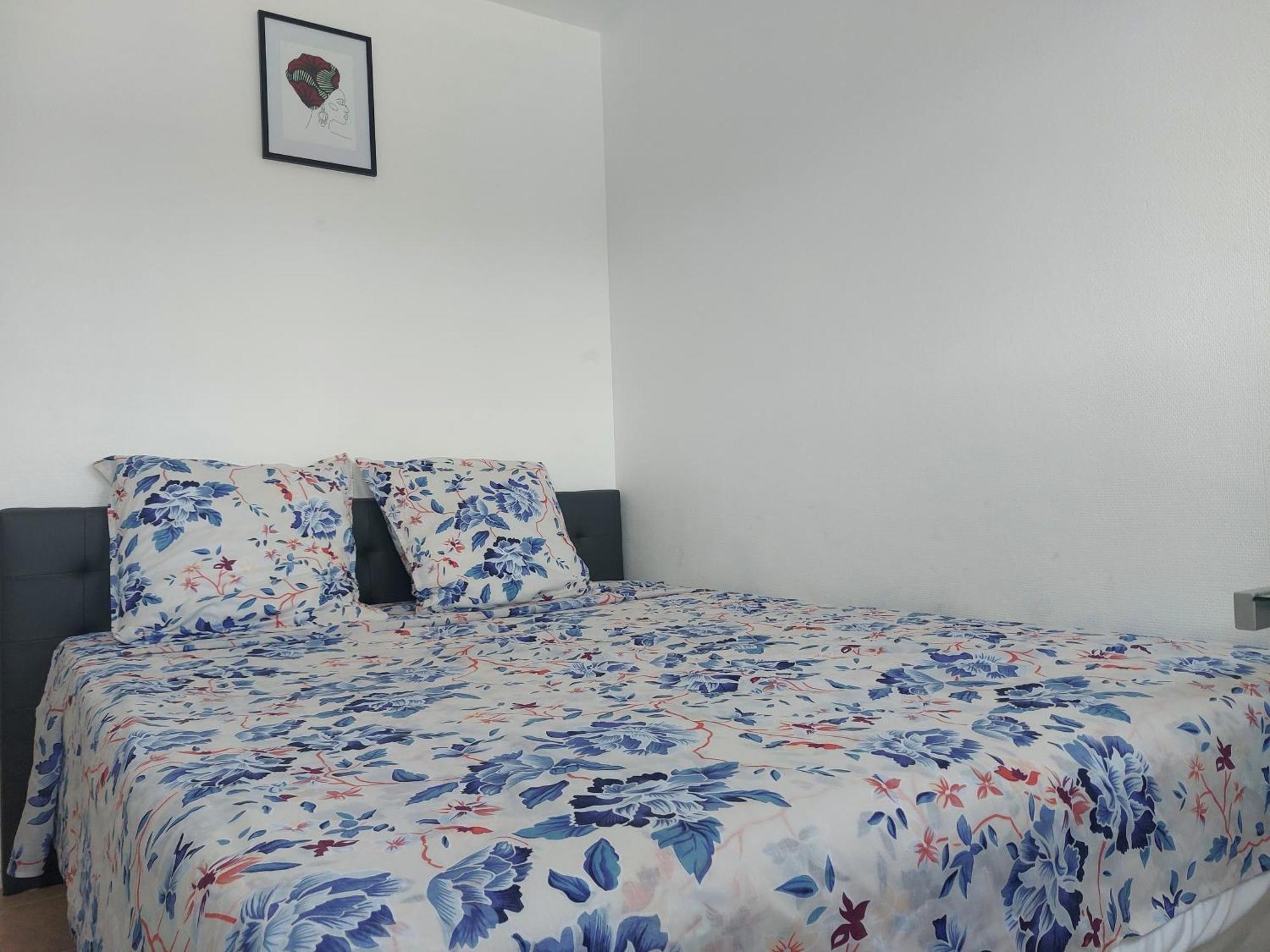 Appartement Au Duleing House Orleans Luaran gambar