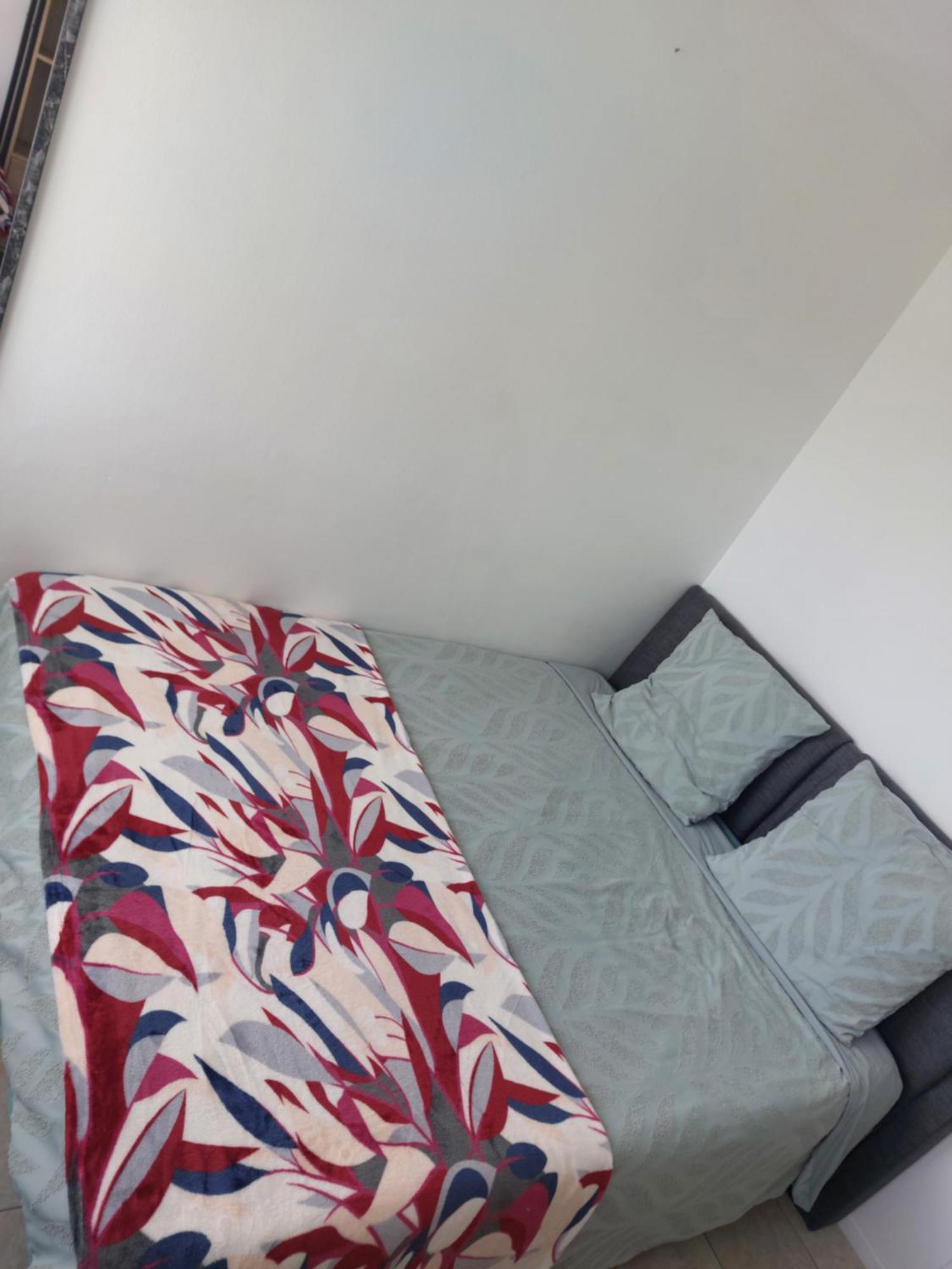 Appartement Au Duleing House Orleans Luaran gambar